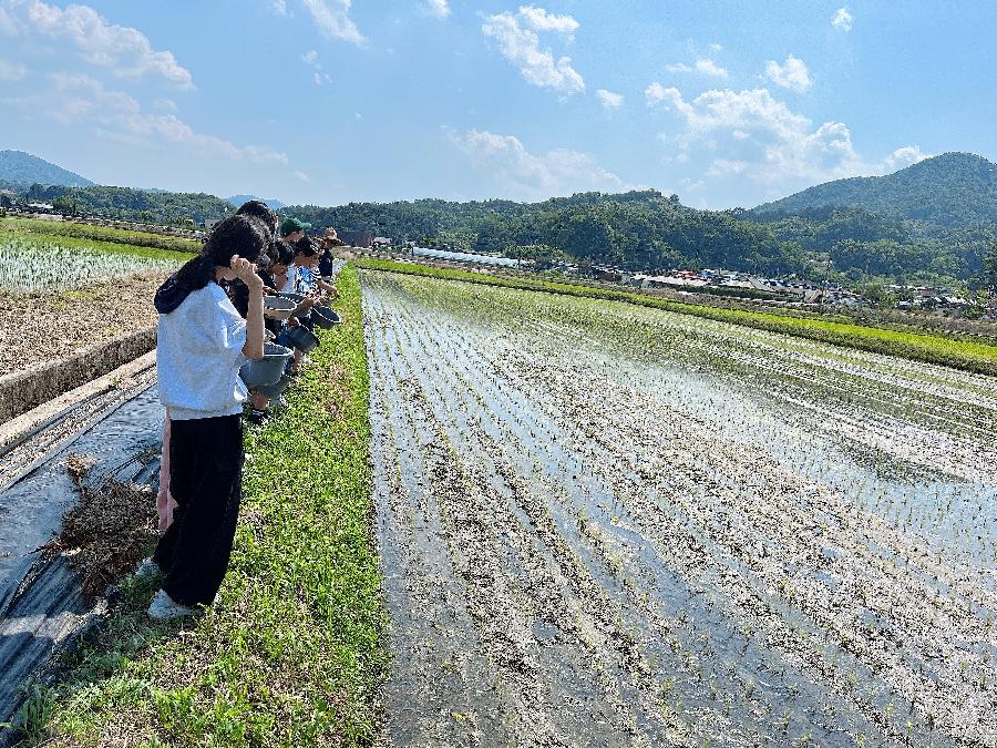 240601_우렁이체험학교 (14).jpg