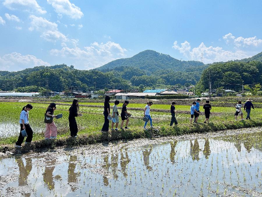 240601_우렁이체험학교 (16).jpg